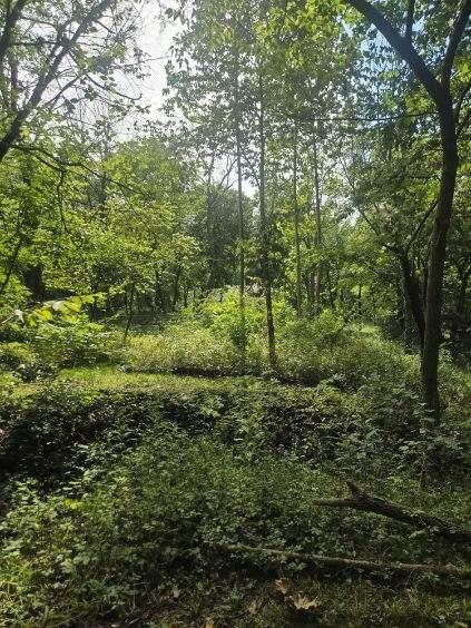 1685 Nw 785th Road Property Photo 48