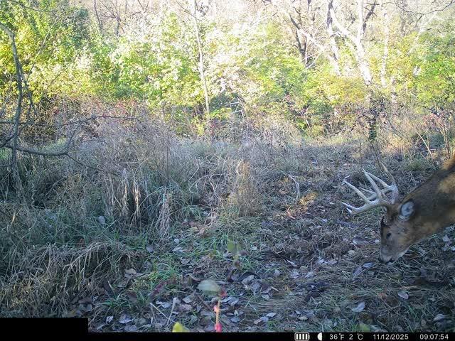0 U Road Property Photo 38