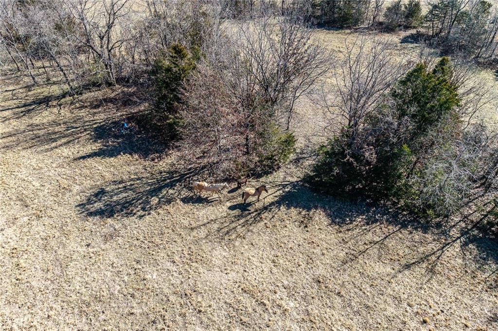 28345 Sapphire Drive Property Photo 59