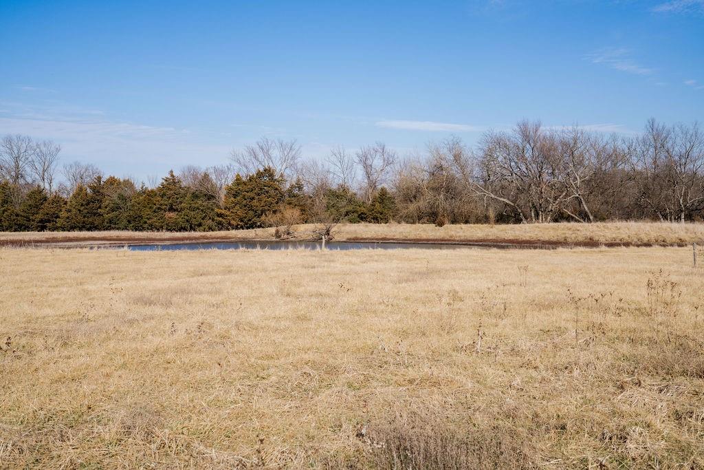 20081 Spring Hill Road Property Photo 31