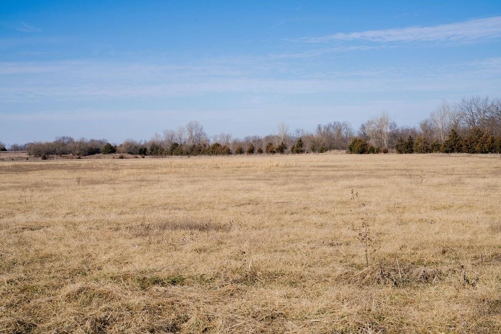 20081 Spring Hill Road Property Photo 32