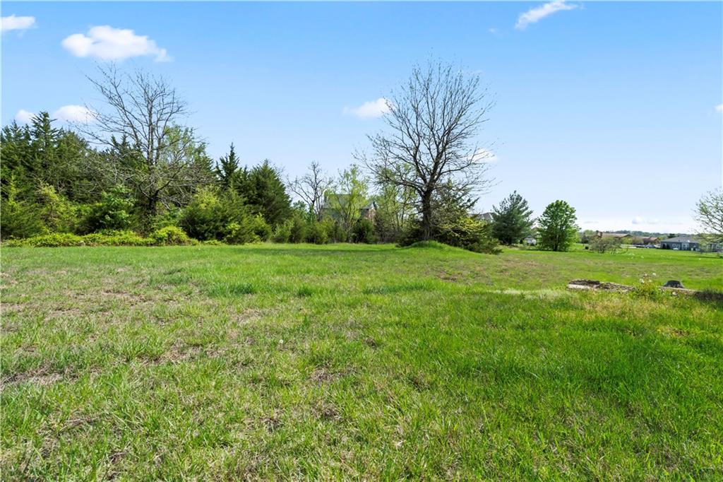 28919 Hackberry Circle Property Photo 77