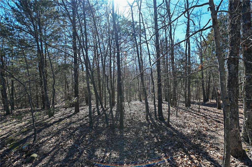 21775 S 725th Road Property Photo 33