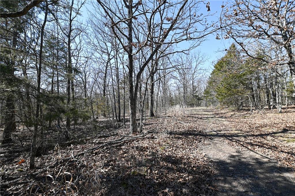 21775 S 725th Road Property Photo 34