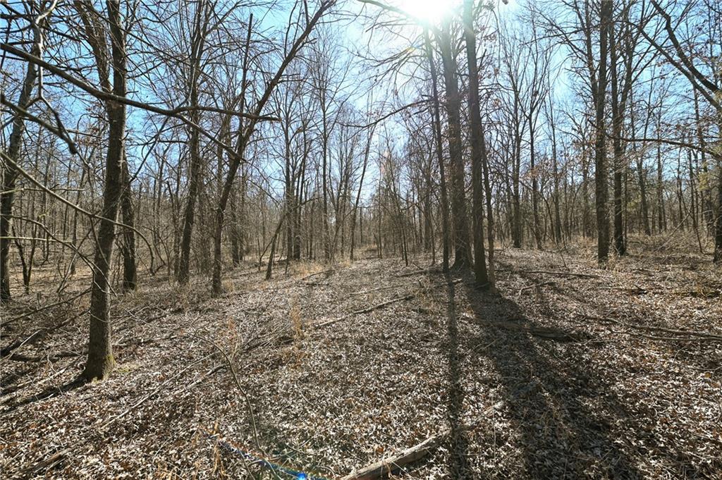 21775 S 725th Road Property Photo 37