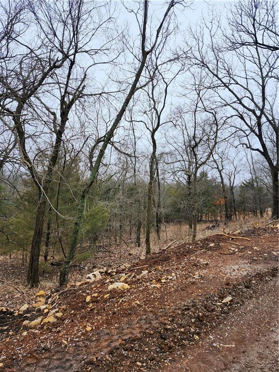 6 & 10 Live Oak Drive Property Photo 5