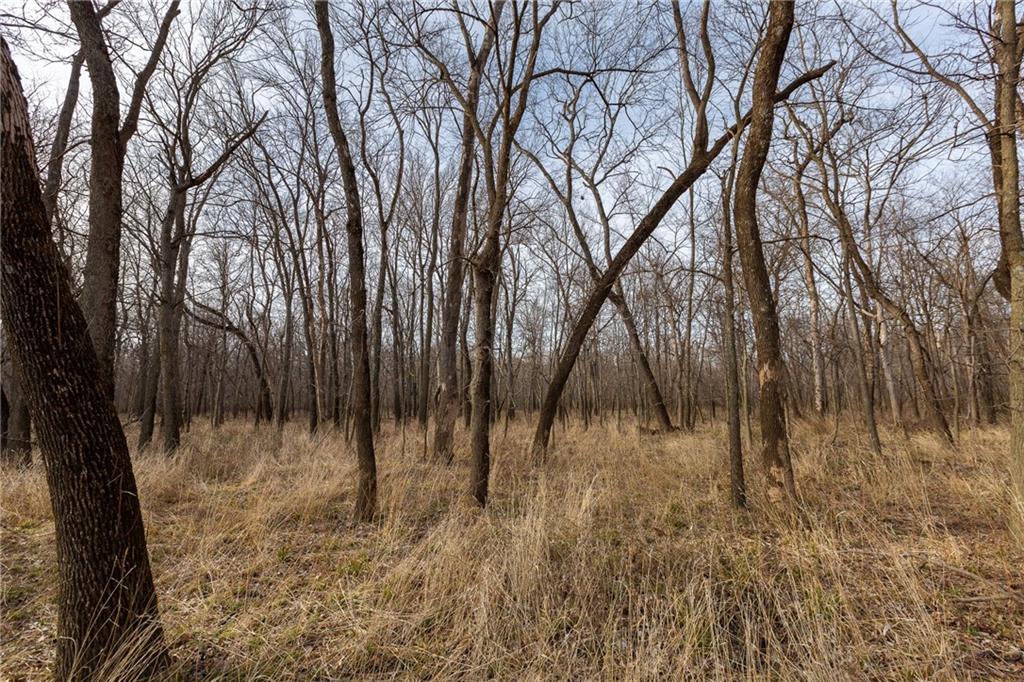 000 520th Road Property Photo 37