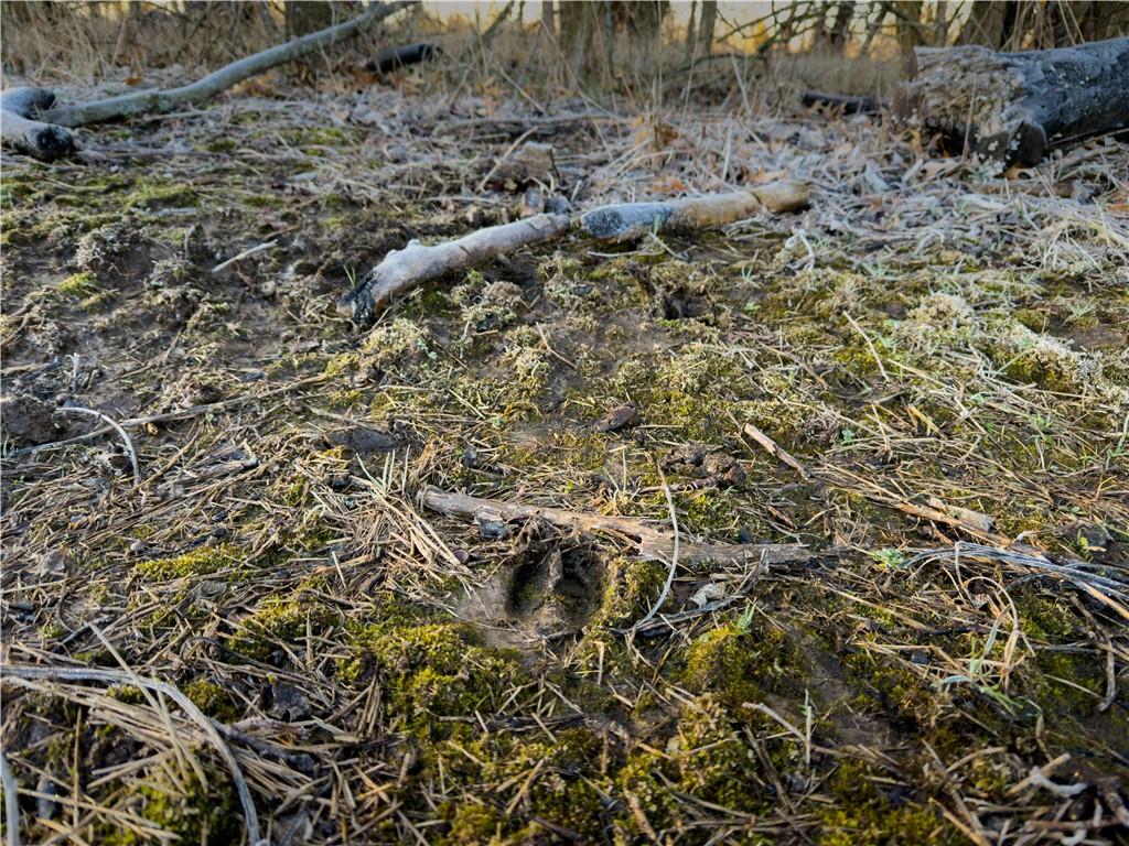 Sw Outer Road Property Photo 10