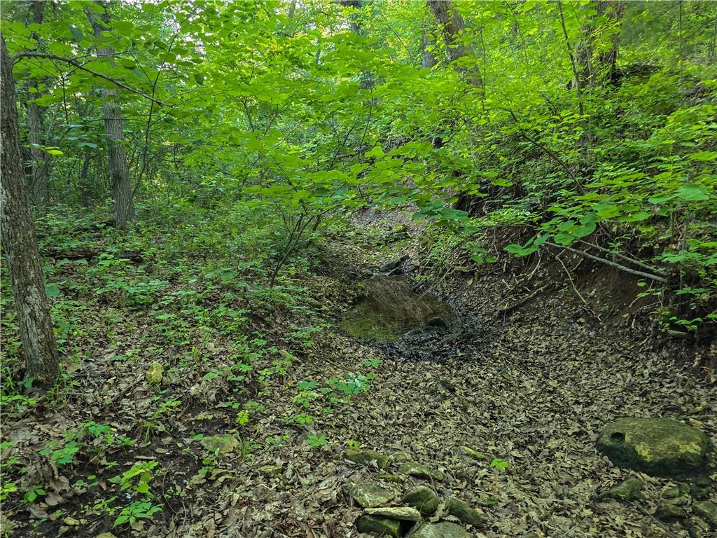 0000 S K57 Highway Property Photo 31