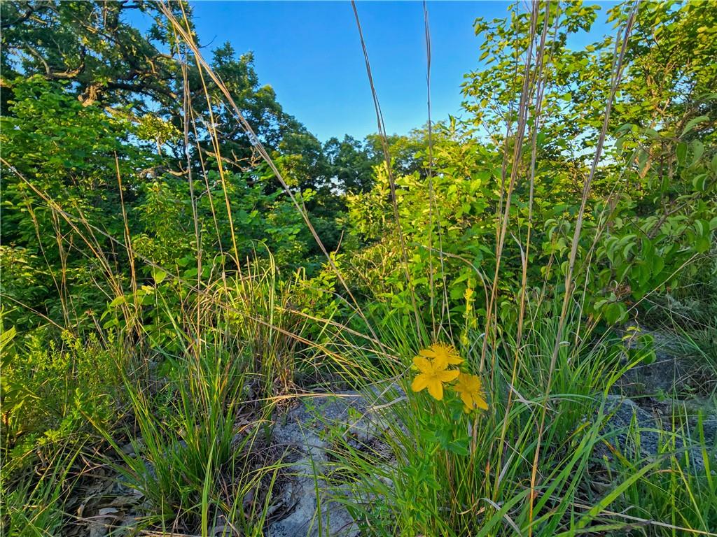 0000 S K57 Highway Property Photo 46