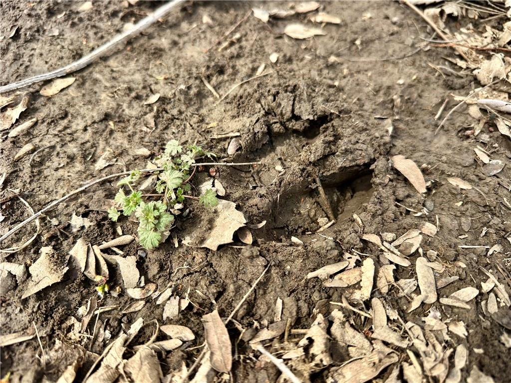 Nw 401 Road Property Photo 17