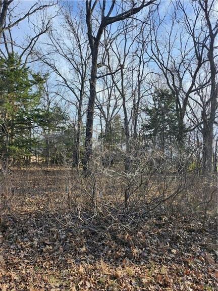 22 Rock Lane Property Photo 3