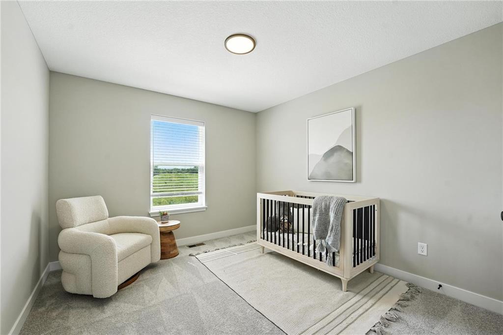 1201 Sendera Trail Property Photo 18