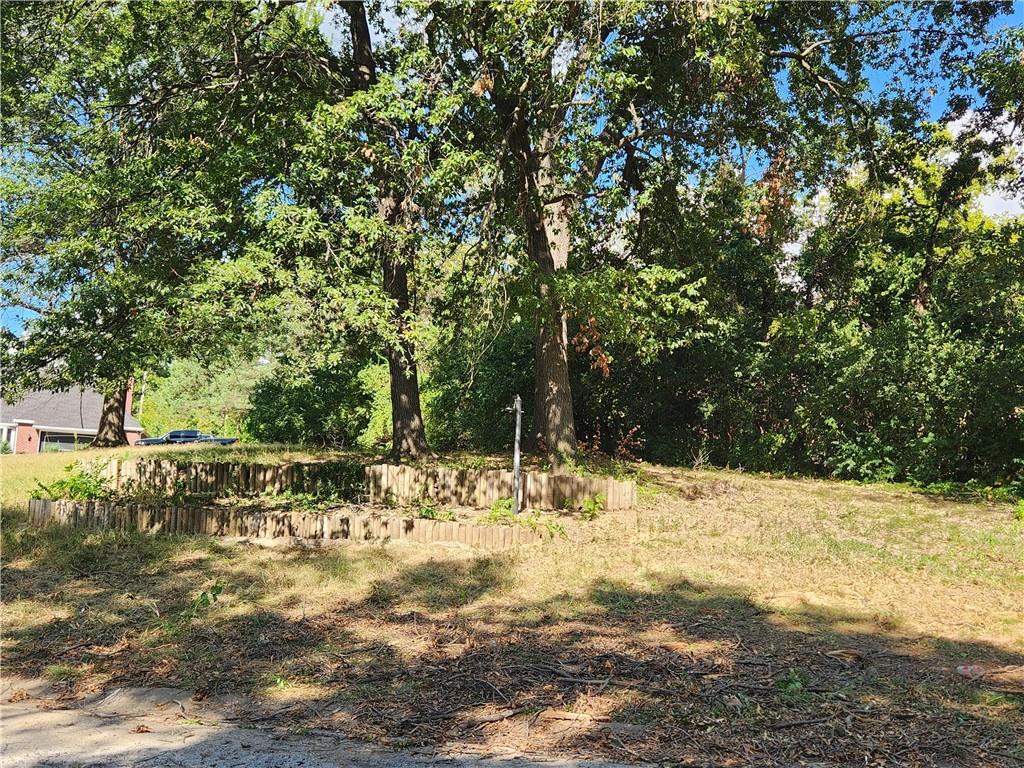 Ash Avenue Property Photo 4