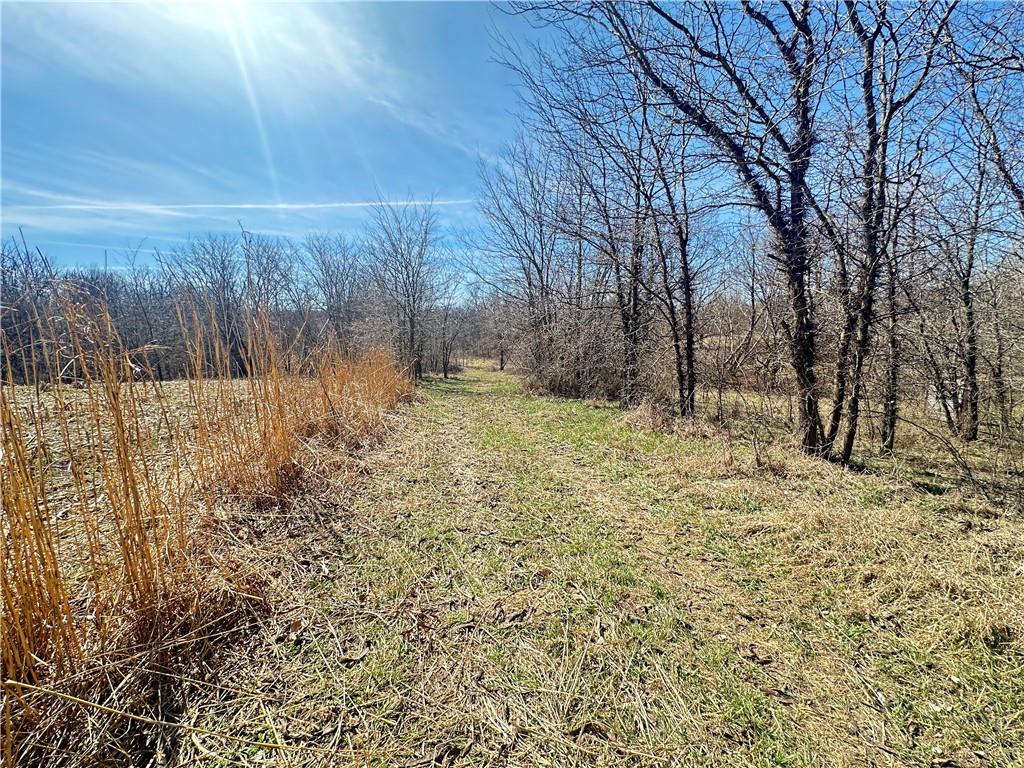 9226 427 Road Property Photo 35
