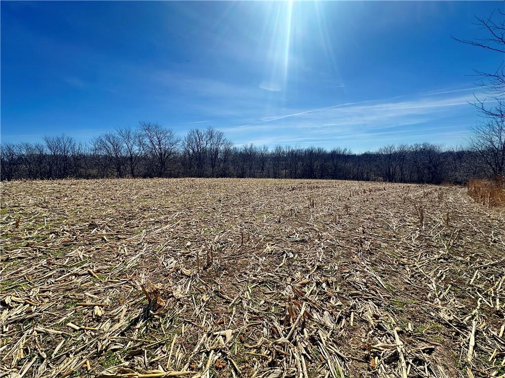 9226 427 Road Property Photo 37