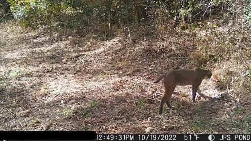 9226 427 Road Property Photo 86
