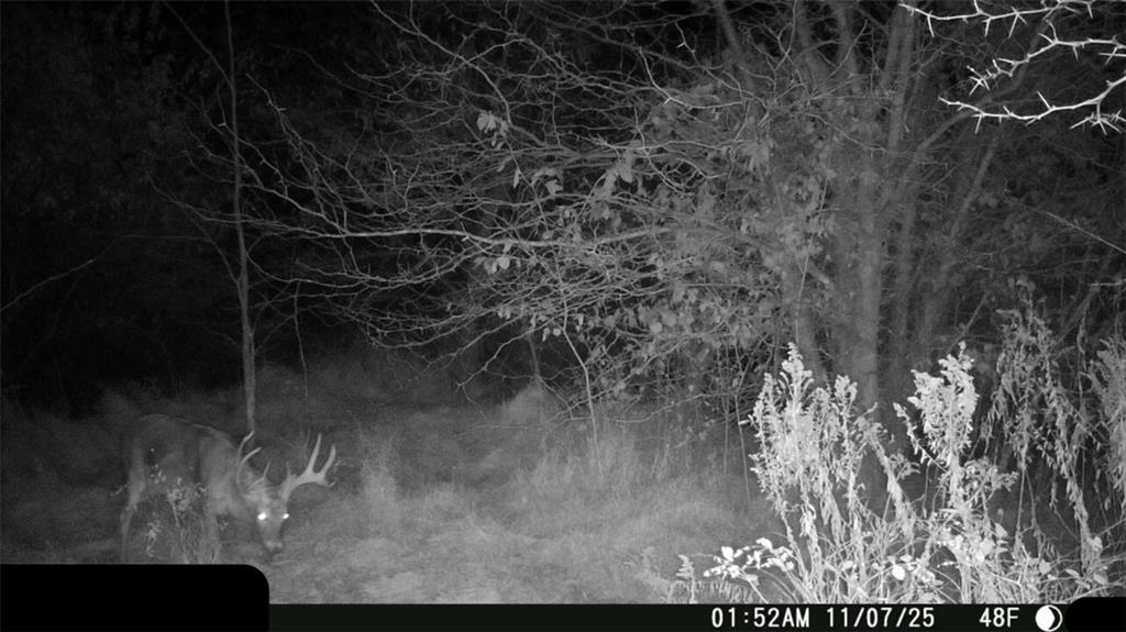 9226 427 Road Property Photo 88