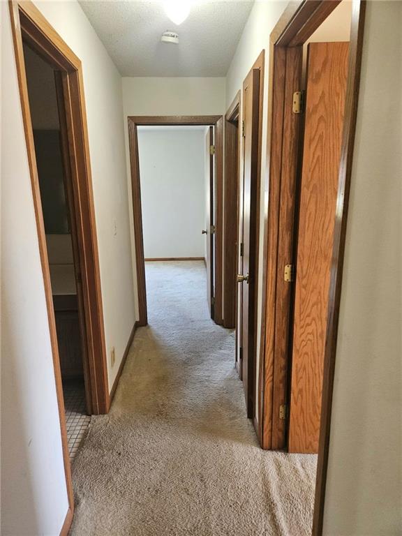 25410 High Drive Property Photo 29