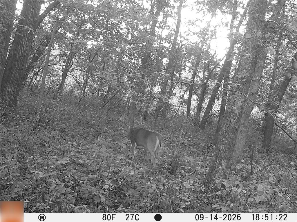 5947 State Highway Dd Highway Property Photo 3