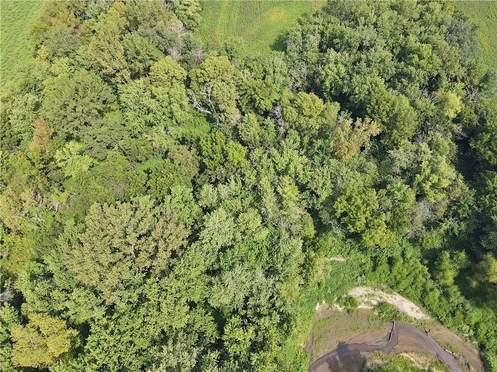 5947 State Highway Dd Highway Property Photo 25