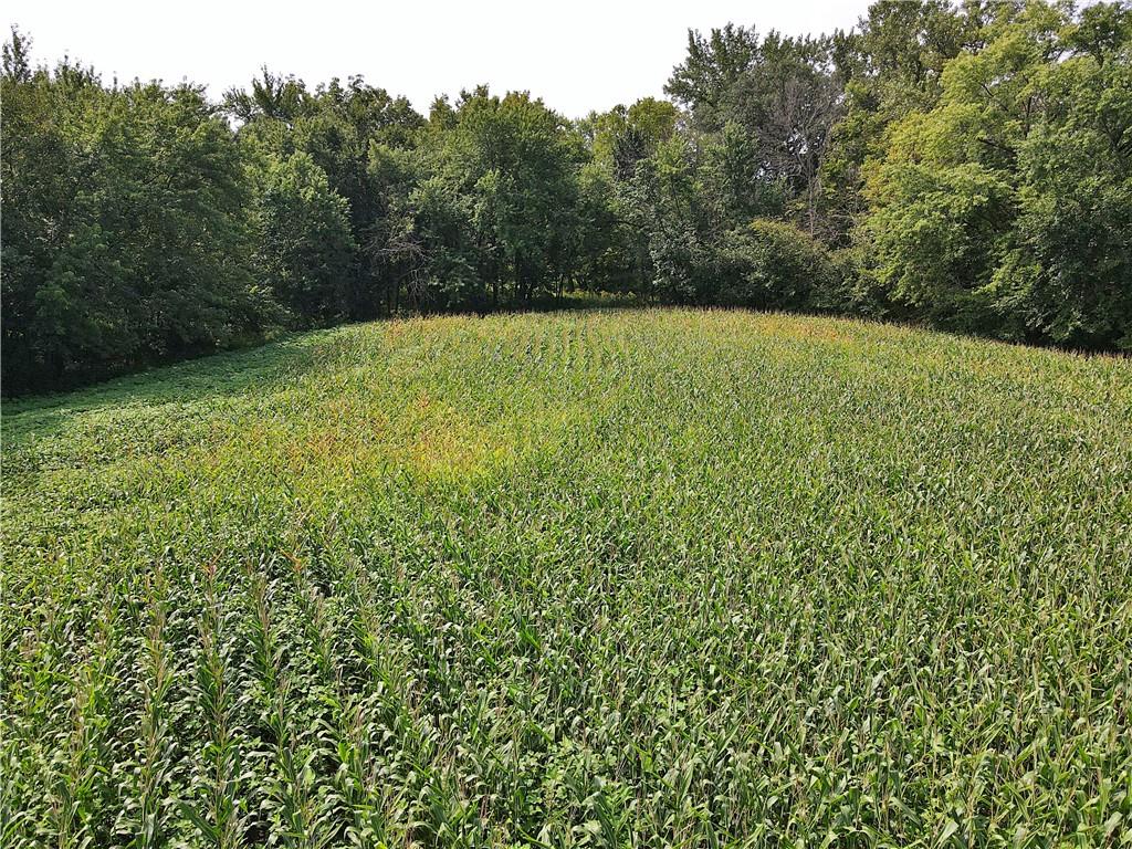 5947 State Highway Dd Highway Property Photo 28