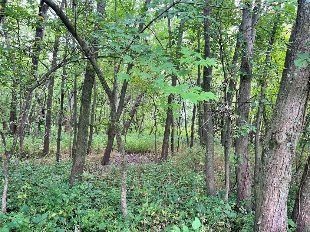 5947 State Highway Dd Highway Property Photo 34