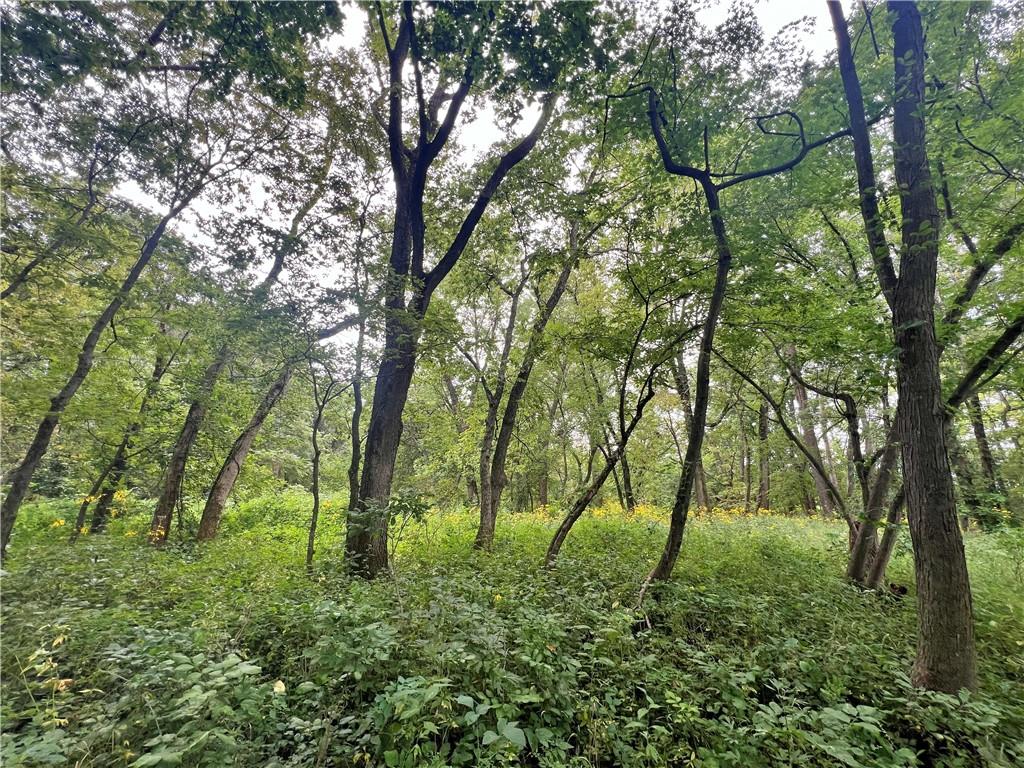 5947 State Highway Dd Highway Property Photo 37