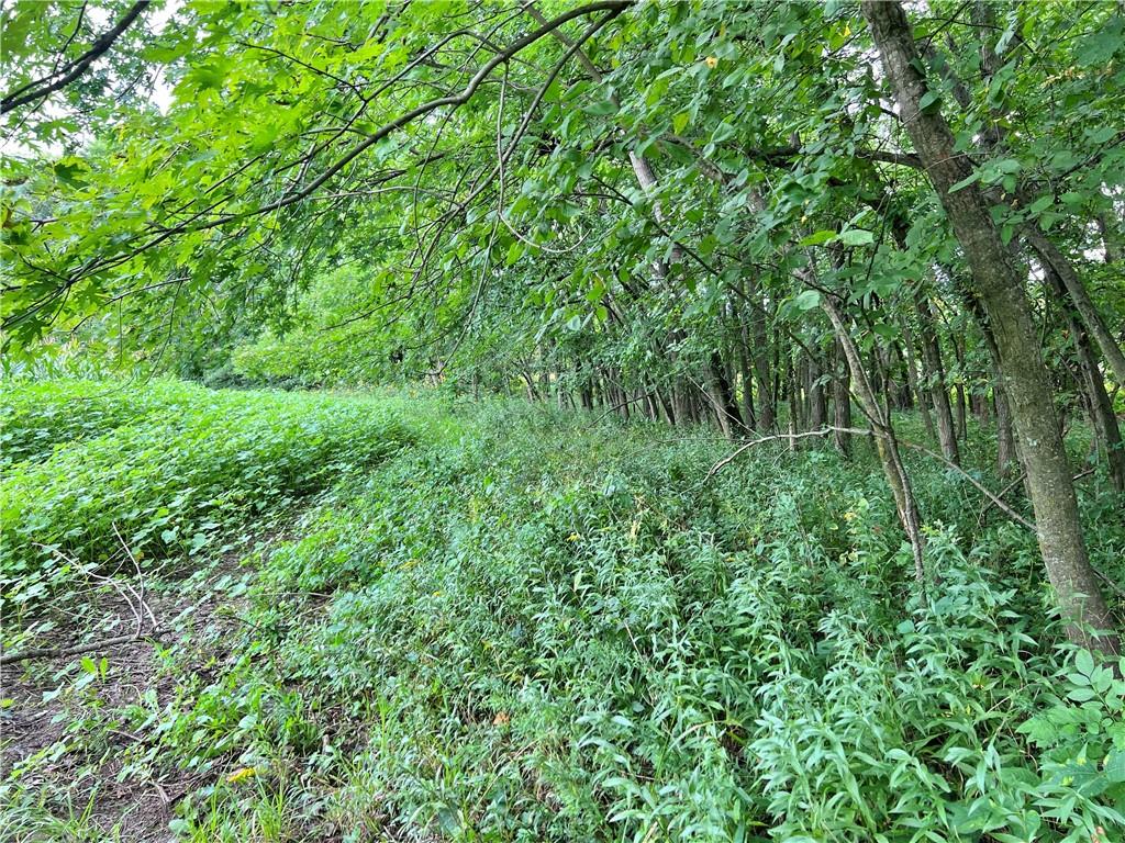 5947 State Highway Dd Highway Property Photo 37