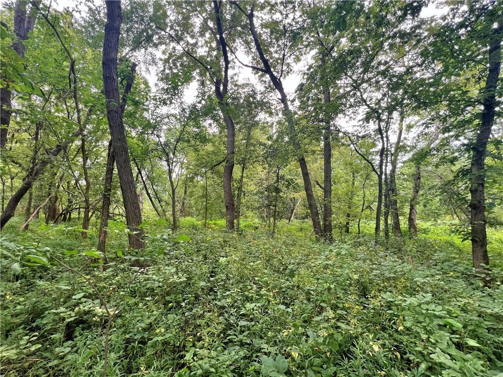 5947 State Highway Dd Highway Property Photo 38