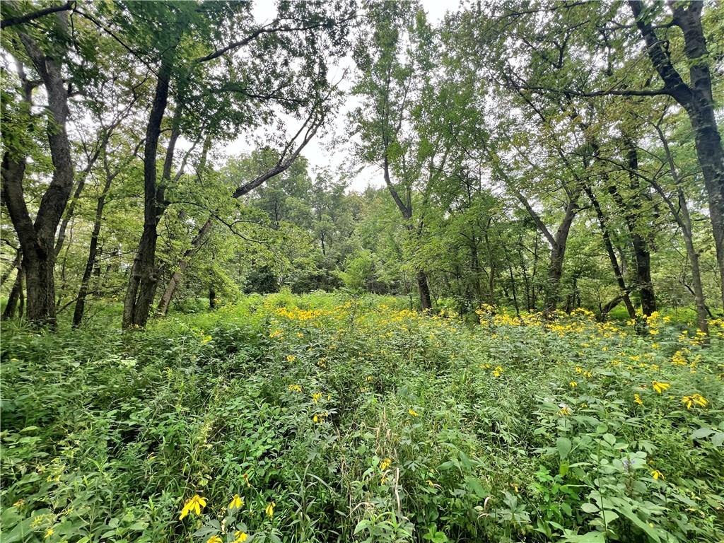 5947 State Highway Dd Highway Property Photo 39