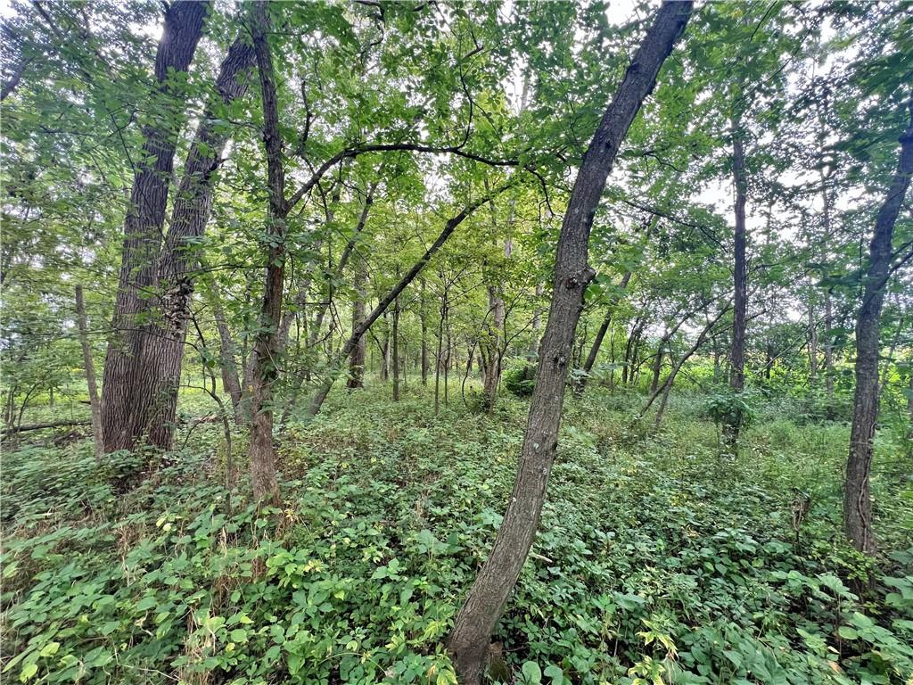 5947 State Highway Dd Highway Property Photo 40