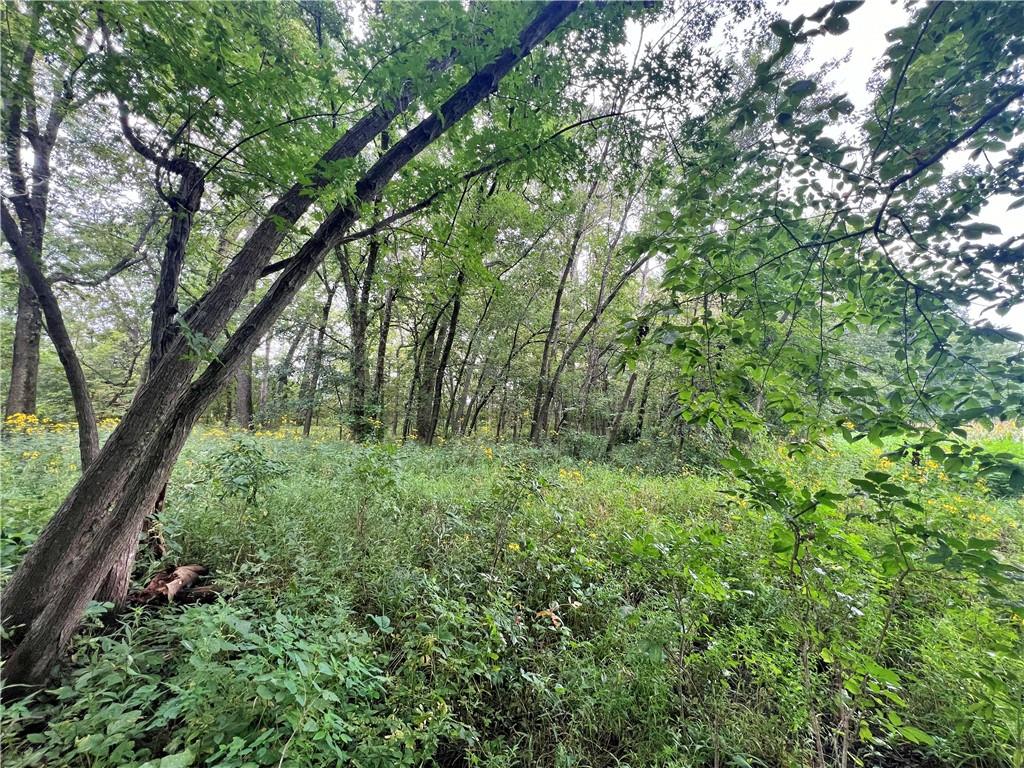 5947 State Highway Dd Highway Property Photo 40