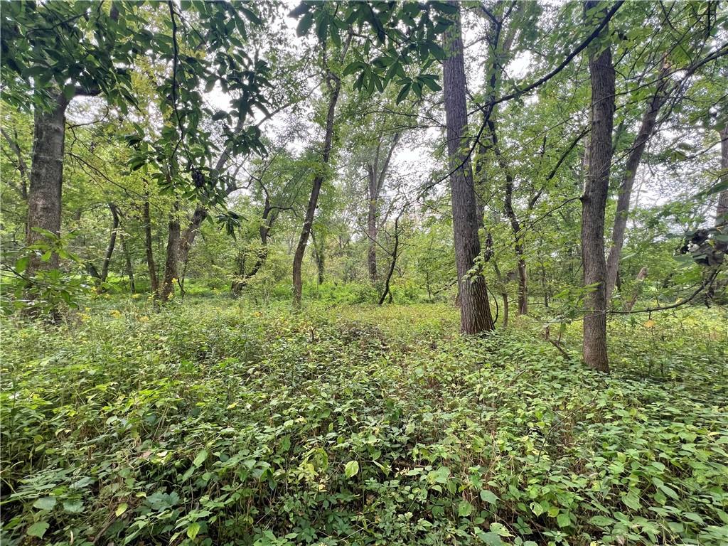 5947 State Highway Dd Highway Property Photo 41
