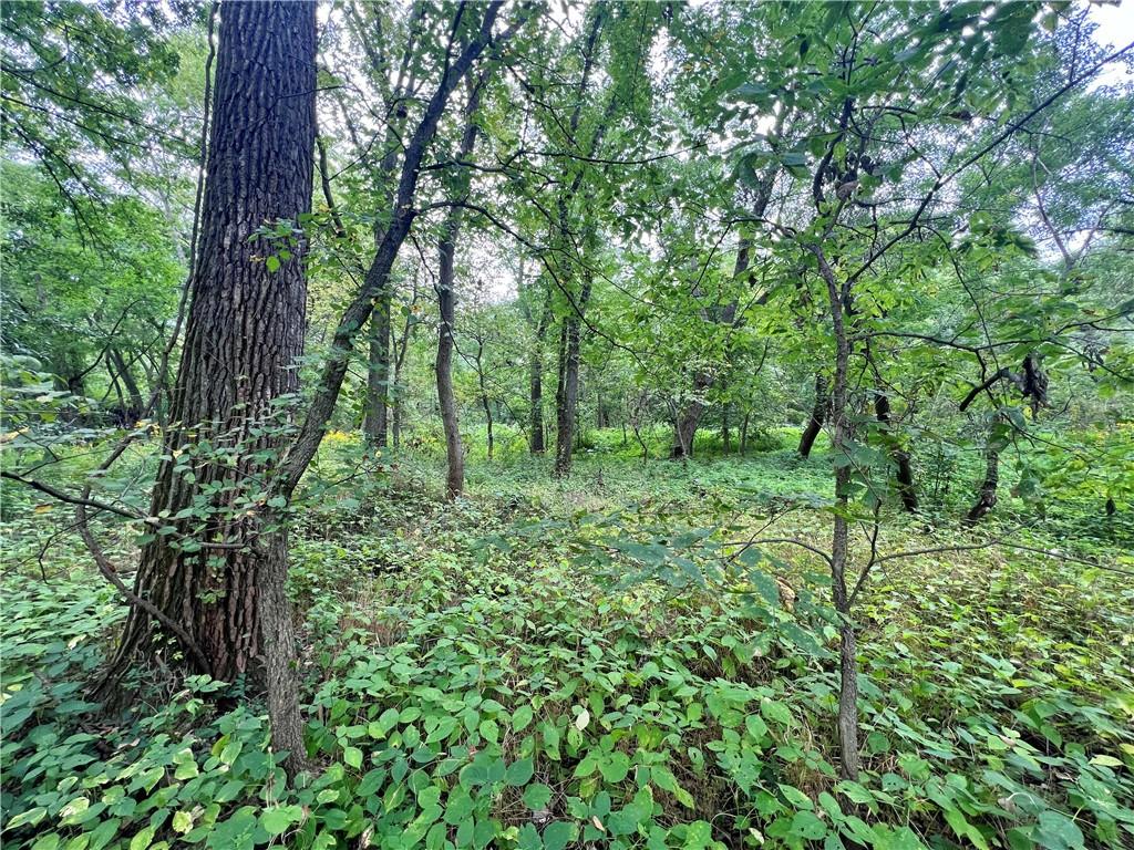5947 State Highway Dd Highway Property Photo 43