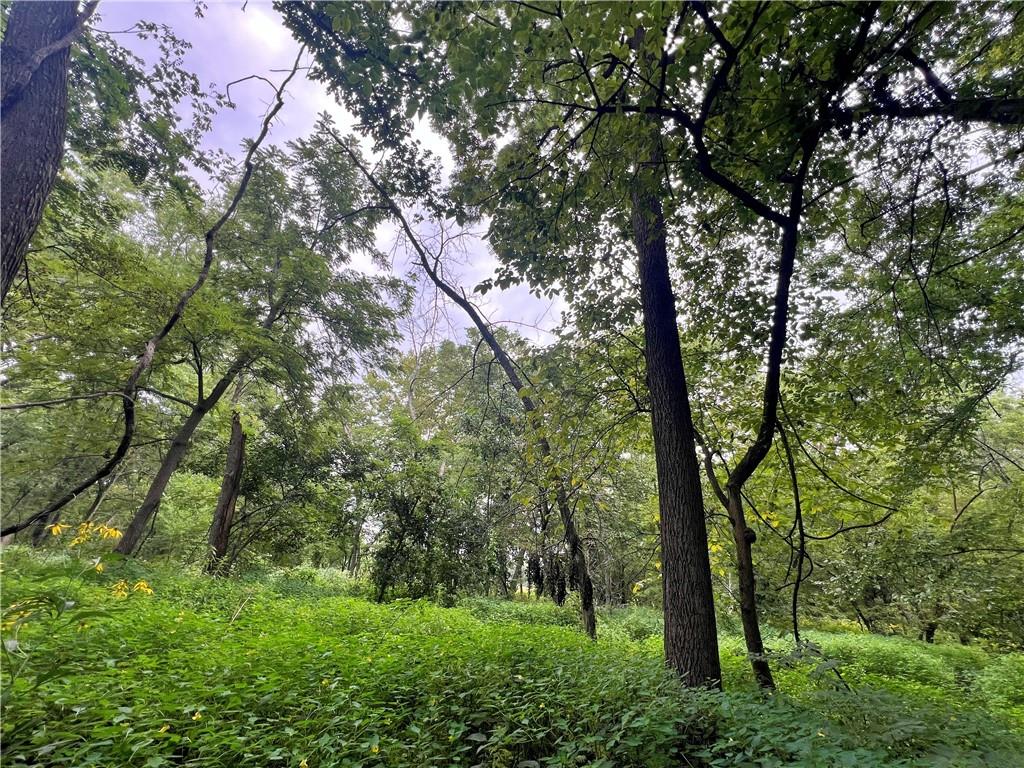 5947 State Highway Dd Highway Property Photo 44