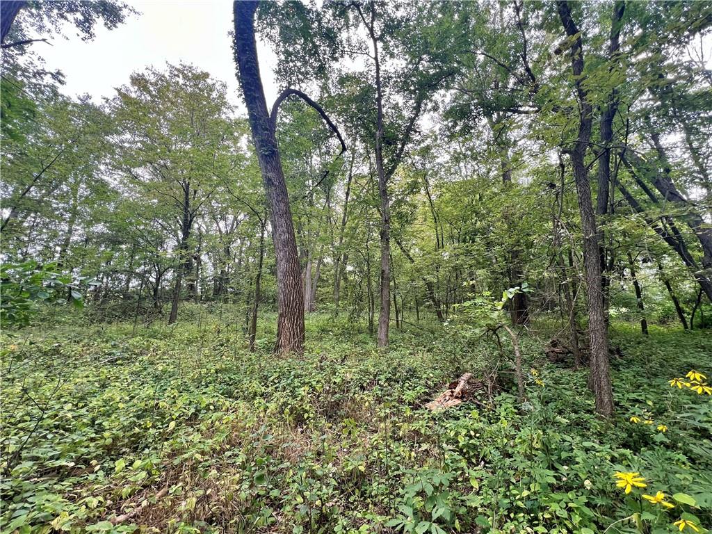 5947 State Highway Dd Highway Property Photo 44