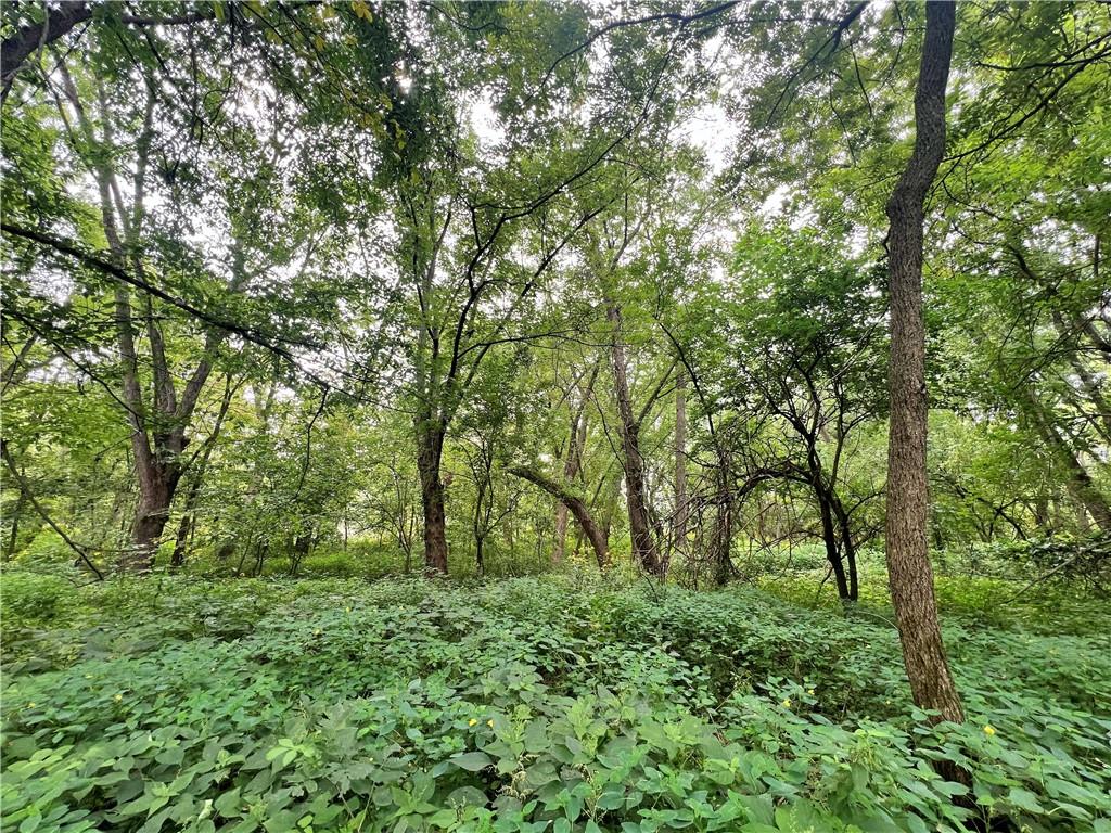 5947 State Highway Dd Highway Property Photo 45