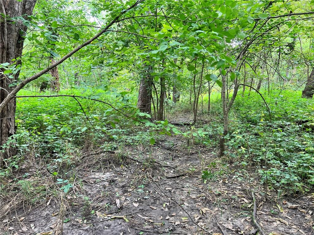 5947 State Highway Dd Highway Property Photo 49