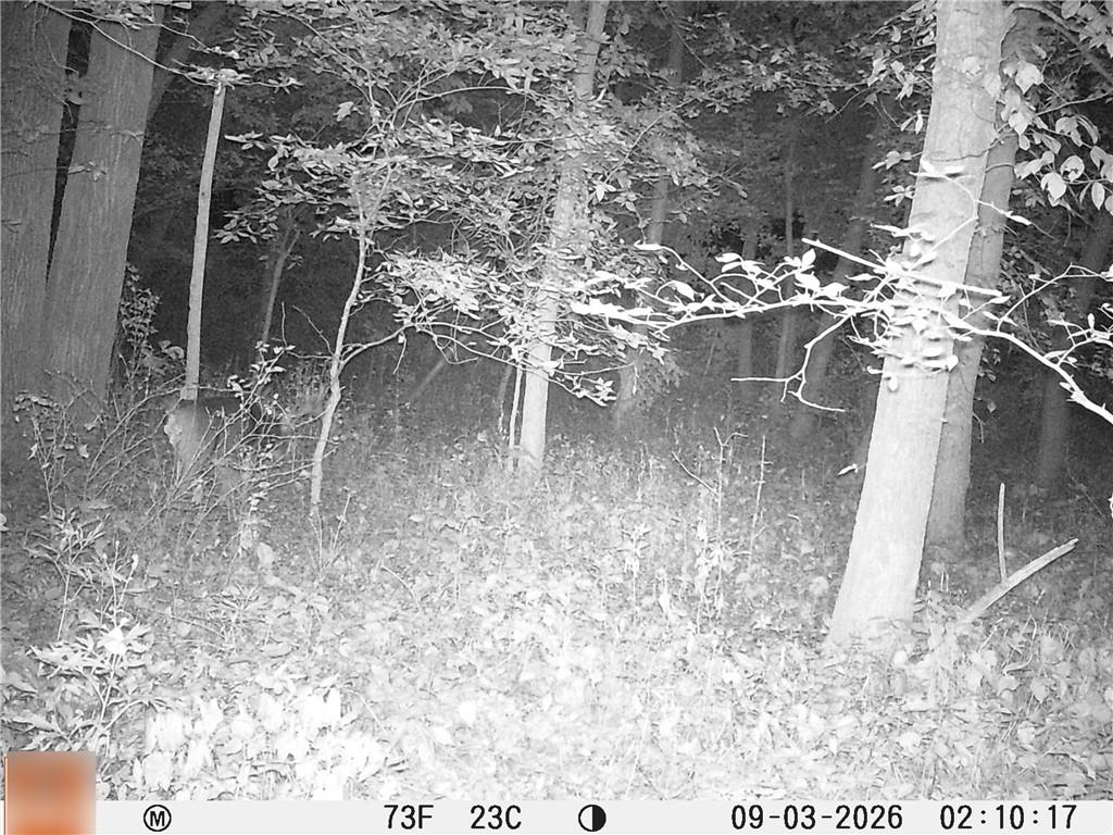 5947 State Highway Dd Highway Property Photo 59