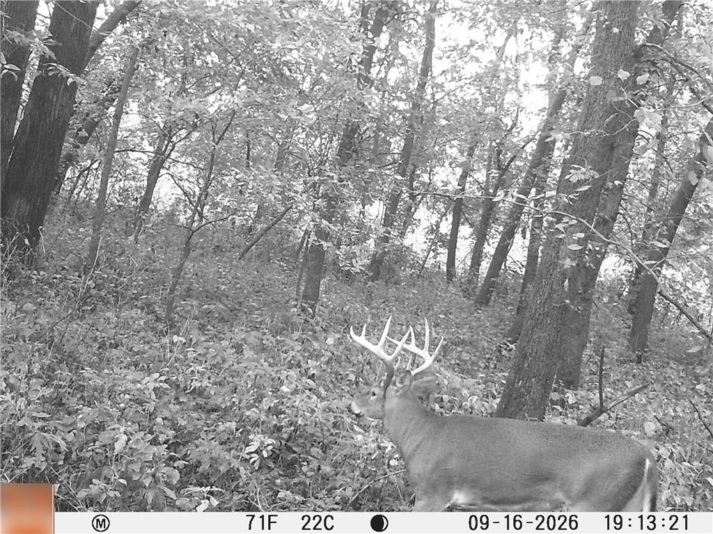5947 State Highway Dd Highway Property Photo 60