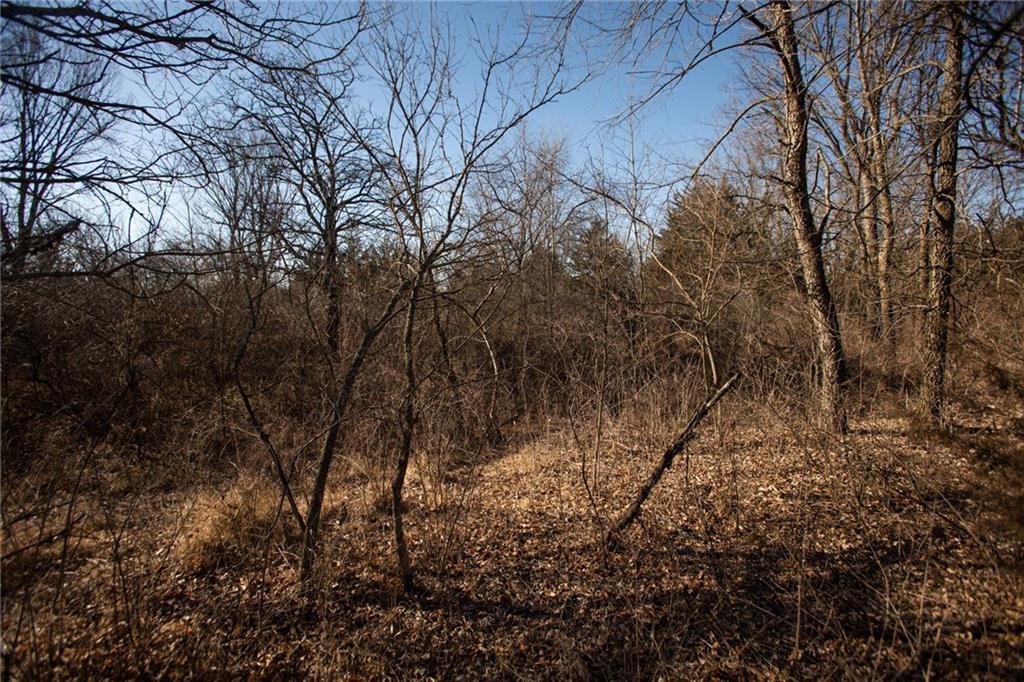 Road 285 Road Property Photo 19