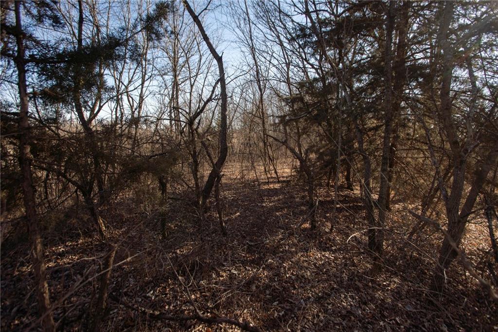 Road 285 Road Property Photo 25