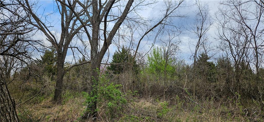 S State Route D Highway Property Photo 7