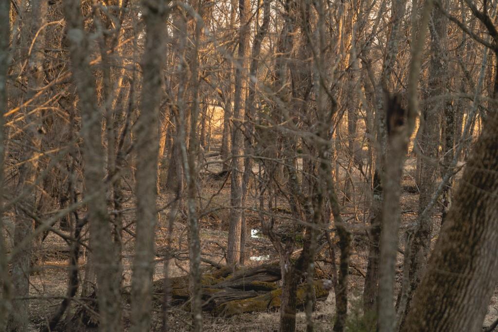 15017 Botkin Road Property Photo 68