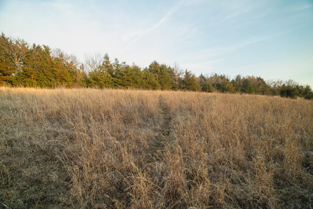 15017 Botkin Road Property Photo 73