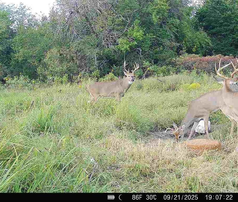 15017 Botkin Road Property Photo 78