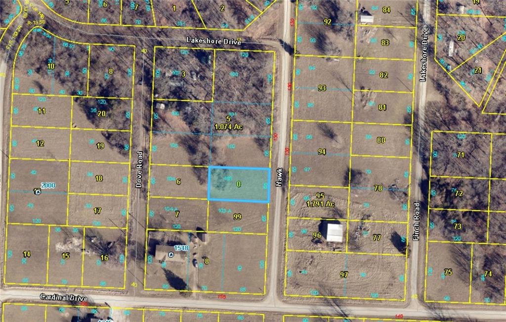 Plat A Lot 103 Hawk Drive Property Photo 4