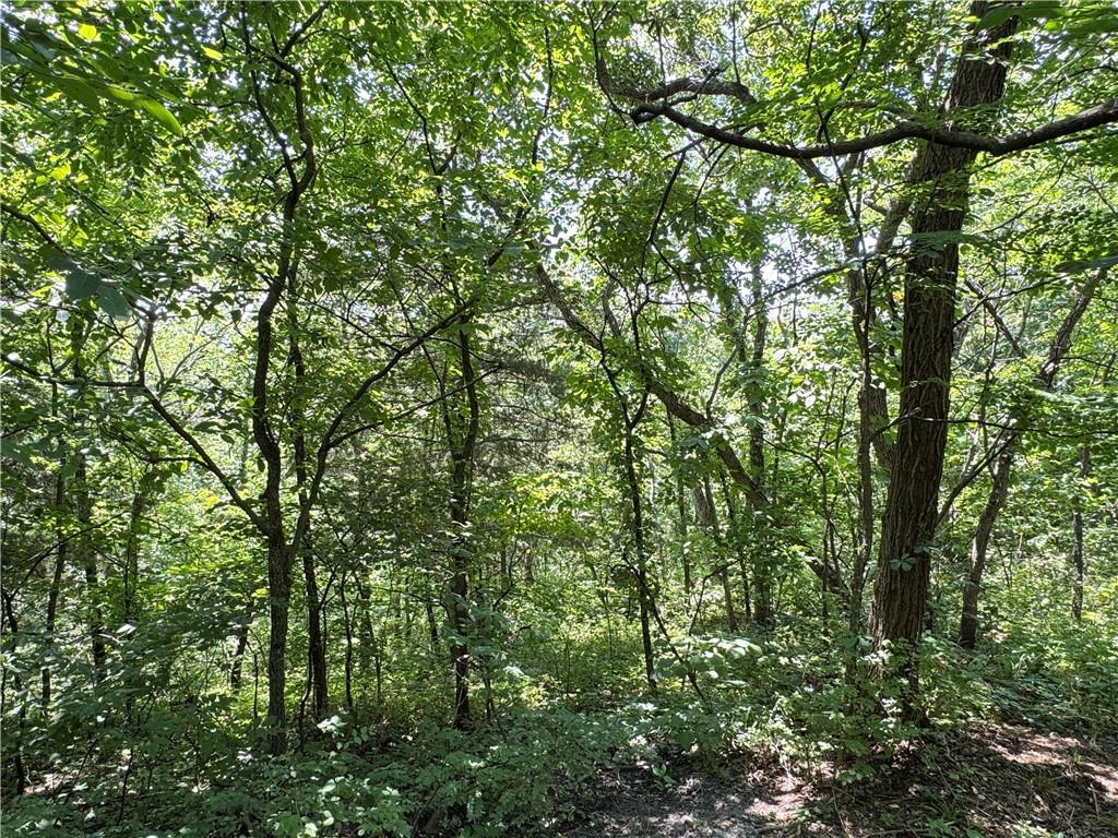 22678 S Tyson Circle Property Photo 62