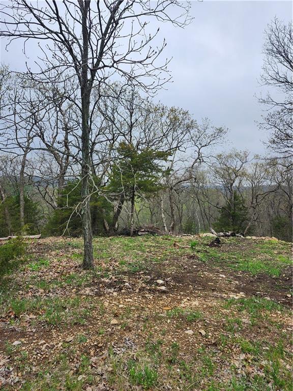 41 E Ridgewood Circle Property Photo 2
